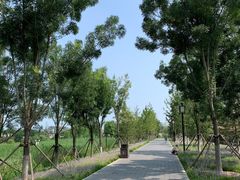 -西海子公园