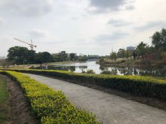 -同济大学(嘉定校区)