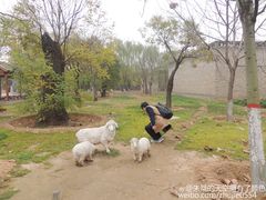 -大槐树寻根祭祖园