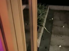 -碧水湾温泉