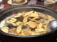 -滇野云南野生菌餐厅(陕西南路店)