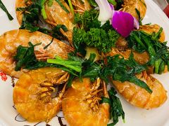 野生大斑节-仁西海鲜酒楼(振东店)