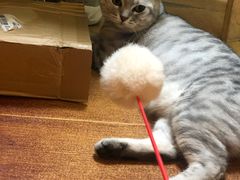 -H立方实景剧情密室(天河旗舰店)