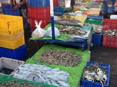 -尼甘布海鲜市场