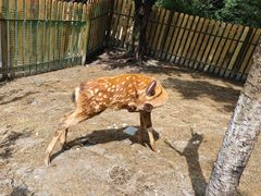 -成都欢乐谷