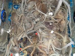 -抹直口特色菜馆(一店)