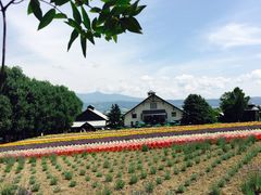 -富田农场
