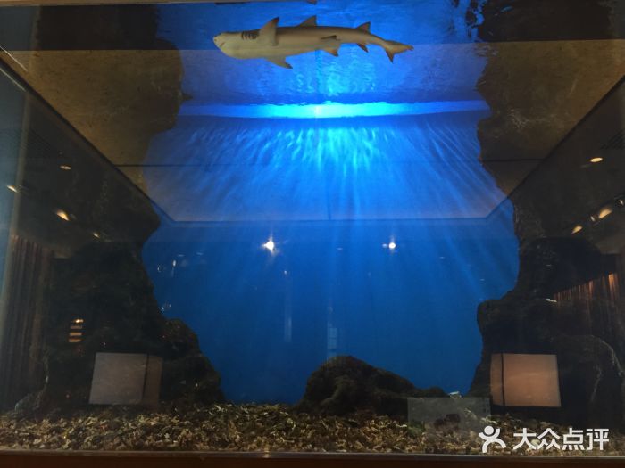 东京和食 Sun with AQUA大堂图片