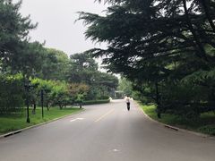 -钓鱼台国宾馆