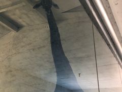 -临沂动植物园