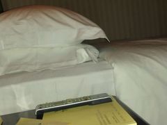 -维也纳国际酒店(深圳新洲店)