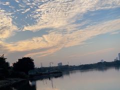 -海珠湖公园