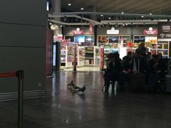 -谢列梅捷沃国际机场