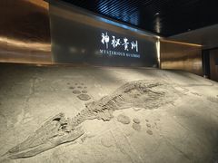 -贵州省地质博物馆
