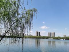 -长白岛森林公园