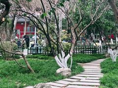-莲湖公园
