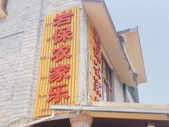 -岩保农家乐