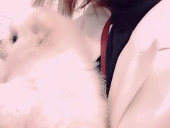 -爱佳宠物中心医院24H·CT·骨外科·猫专科(瑶海万达店)