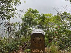 -梧桐山风景名胜区