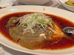 清蒸多宝鱼-苏浙汇(朝外店)