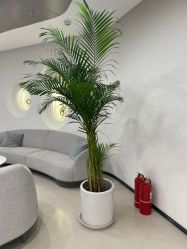 -丰联丽格医疗美容·联合丽格眼整形中心