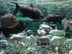 -成都浩海立方海洋公园