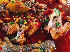 -青城甲(青城山店)