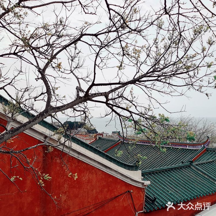 东山岛之旅