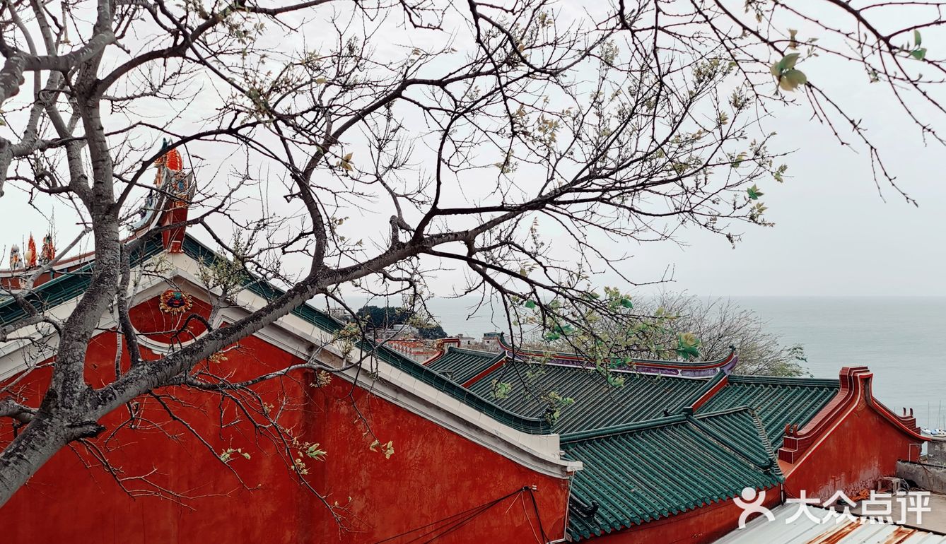 东山岛之旅
