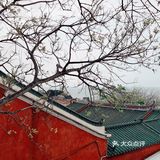 东山岛之旅