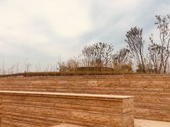 -盘龙城国家考古遗址公园