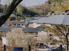 -四明山国家森林公园