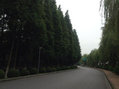iphone_upload_pic-太阳岛度假酒店