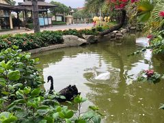 -厦门日月谷温泉渡假村