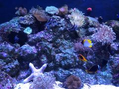 -成都浩海立方海洋公园