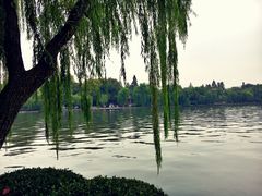 -西湖天地
