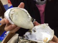 -蚝专家(北滘店)