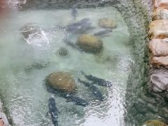 -耕渔小院·湖南鱼鲜(望城店)