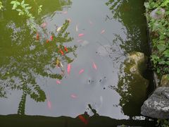 -杭州西湖风景名胜区-三生石