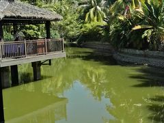 -三亚亚龙湾五号度假别墅酒店