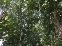 -山东大学(洪家楼校区)