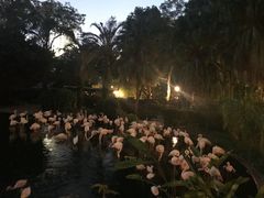 -九龙公园