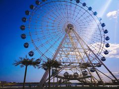 -秦皇岛乐岛海洋王国