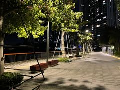 -深圳湾公园(南山区)