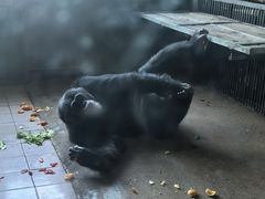 -秦皇岛野生动物园