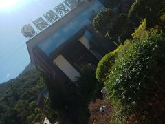 -泉州海丝野生动物世界