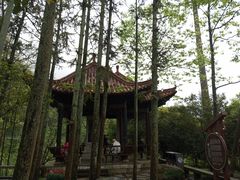 -明月山风景名胜区