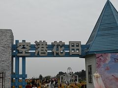 -空港花田景区