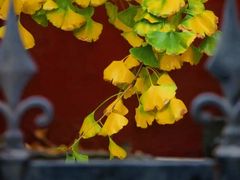 -北京石刻艺术博物馆(五塔寺)