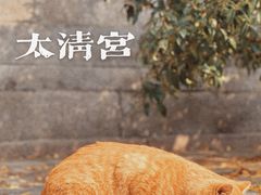 -青岛崂山太清宫